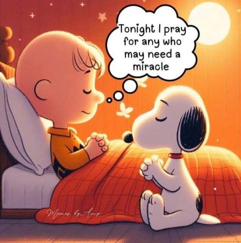 fa3afb0fc716116d40cb07b5efb2cebe