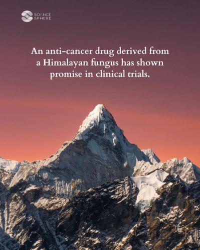 42120481-e2da-444e-9e72-b4aeaa504e7c