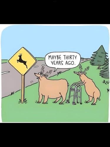 3671a748-2b8f-4de2-b975-155f3c3d0fe0