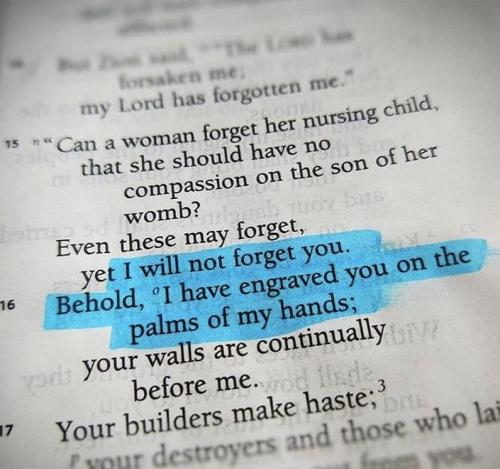 IMG_20250913_171416_321