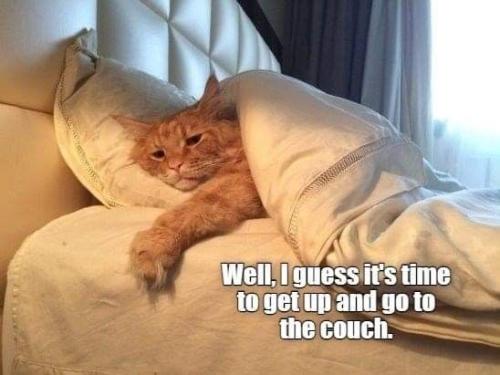 396c3dc182fe9cea8dc5857a26e56ebc