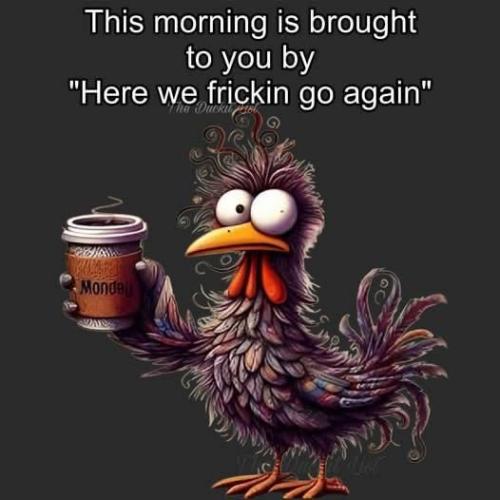 IMG_20250929_144934_883