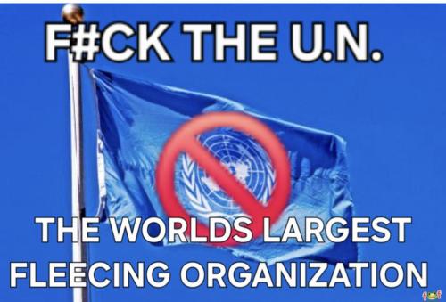 Ftheunorganizedflecingy