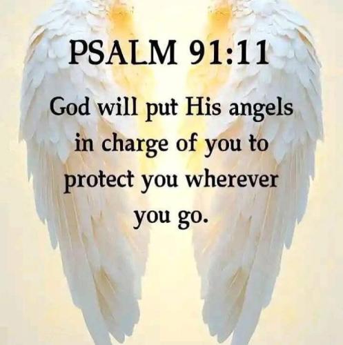 IMG_20250913_171659_138