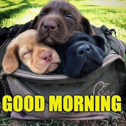 58f839c6130d32e093da996fbbfeb1a1