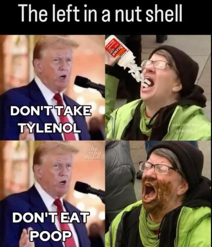 main-qimg-b2f9966ea7225335098b12ae5c0b8e43