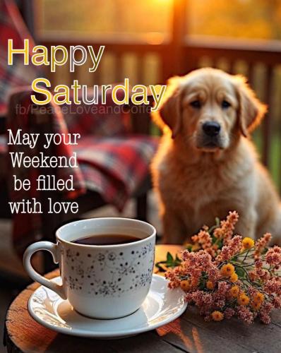 550678335_1113408177590818_4275580180497402205_n