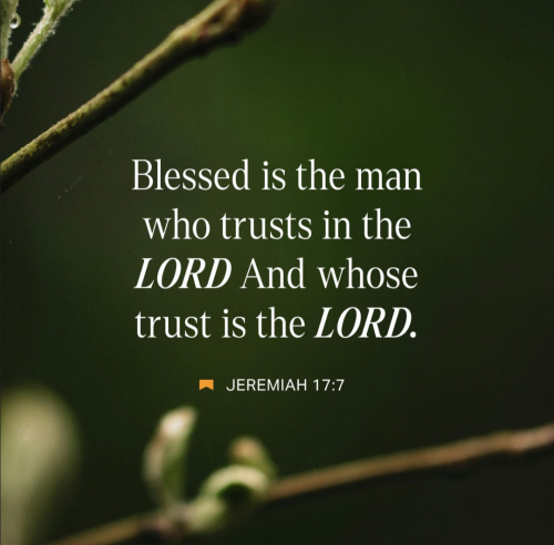 Screenshot_20250918-175210-339