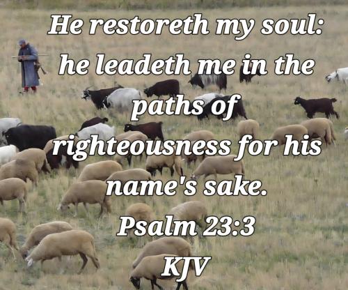 2a3e623d-1ef0-43ad-ac90-8b5bb8f85375