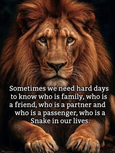 092325 - Sometimes - Snakes