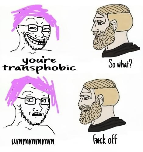 Low-img - 2025-09-22T004002.210-standard-max-1x