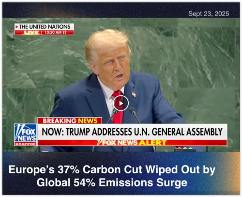 Carbon Cut Wiped Out sept  - 2025