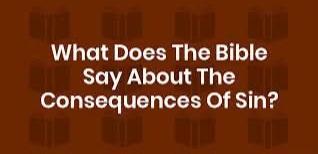 0c16e1b9-3c5d-4a89-bca4-25e17ab6d6eb