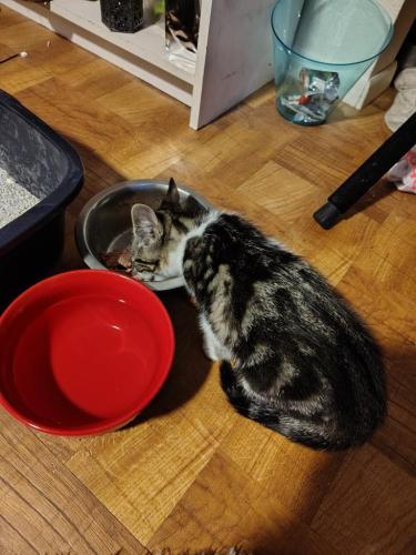 68fa97fb-55ea-4b70-99bb-2adce2f183f3