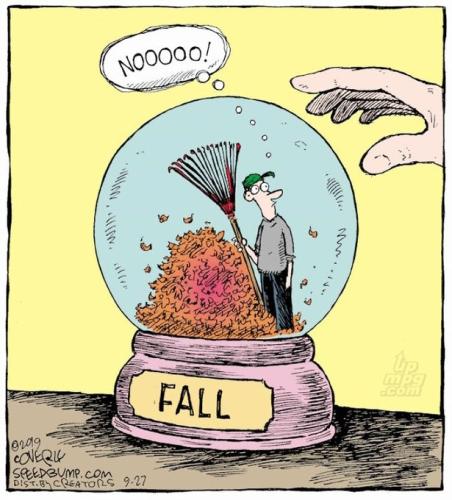 main-qimg-2a8e98748b210b0b486e859839def004