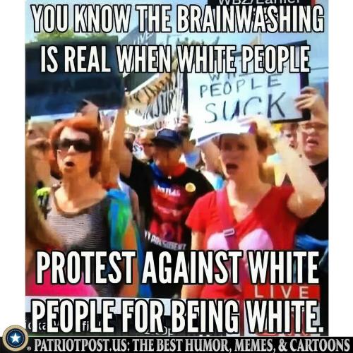 01K4PAZ0TMWEWNJKT57APXRE9N