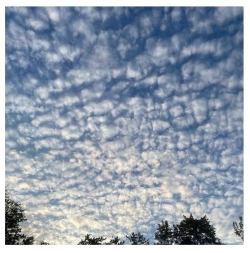 a595c057-b7b9-47db-858c-6097f671085a