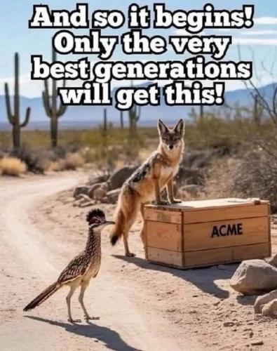 75834c1bfd347e8b3dc128067635aecd