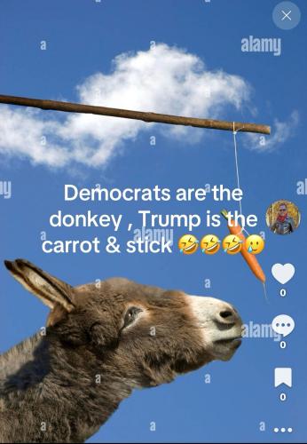 8E9FCFC3-BAC3-4B9A-A9EA-750CB676E997