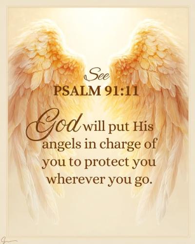 540491047_779174055072156_1170369633675543097_n