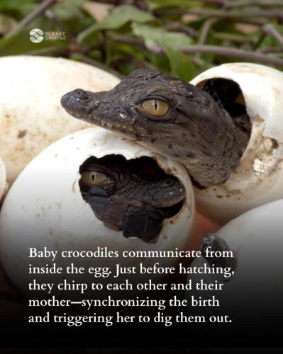 7028dd8d-87aa-4080-9777-37116a557c99