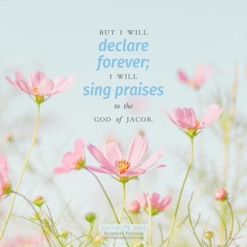 psa-75-9-NKJV-unsplash