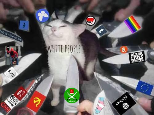 Low-download (3)-low resolution v2-1.4x