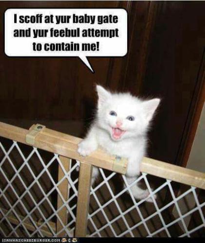 087459daa3fb2ee69a6e5e7fb068bebd