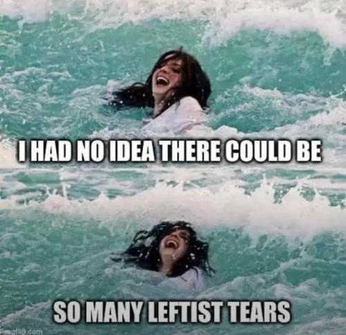 85d6f0fc-e9a8-40b6-992c-b20190caab7d