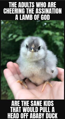 ZomboMeme 14092025134640