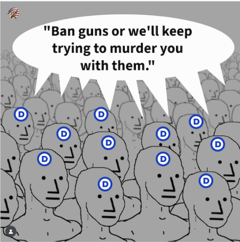 BAN GUNS