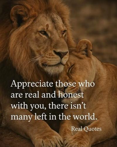 103025 - Real & Honest