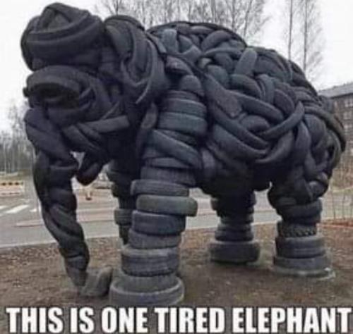 Screenshot_20250908_072059_Gallery