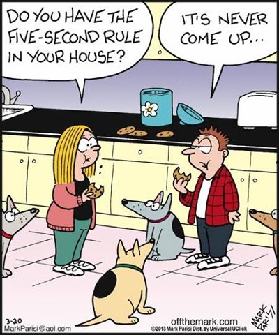 40609bb9d4fa2481907d1c5386dffd2a