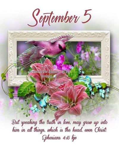 542943786_18023204885743683_2313236024739971896_n