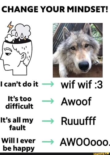 9e663db4bb305b1f90137a8ca00881b65a59c2c8802379986e5aa9e1d0114c0f_1