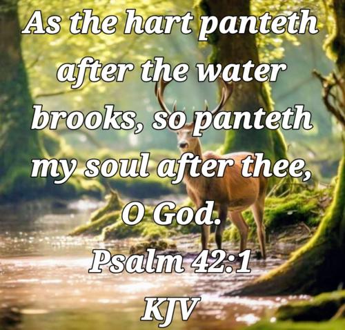 50d3425c-dab5-490f-8cd7-1a397c690d1c