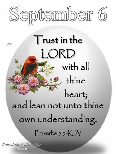 542763230_18023310584743683_8972705950083682397_n