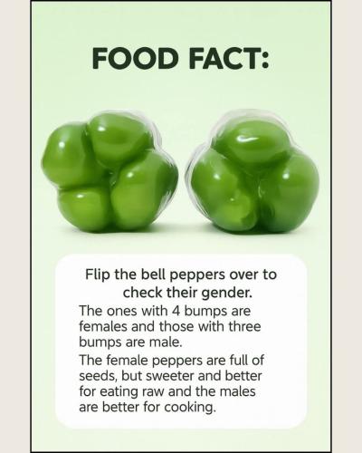 IMG_20250926_135532_942