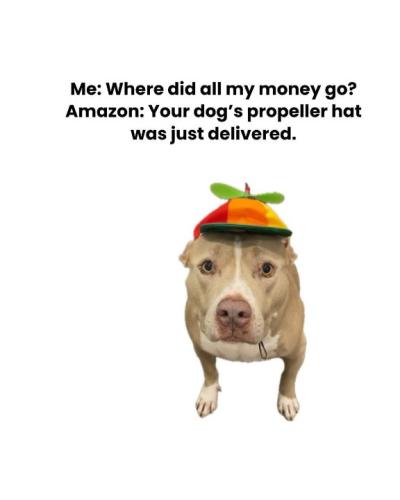 Resized_FB_IMG_1757424432073