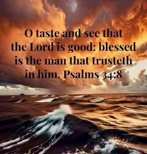 6e1eee7e-094d-421a-9141-f823dd0b823b