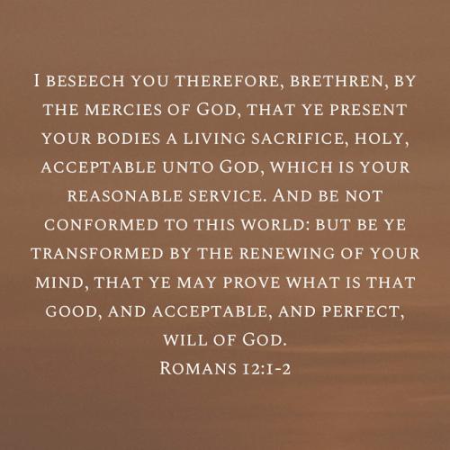 99EA96A6-4E55-4FA6-A562-C3F8BD865DAB