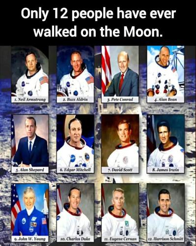 d44bdd24-a844-4b1b-ad82-cd15dc99481a