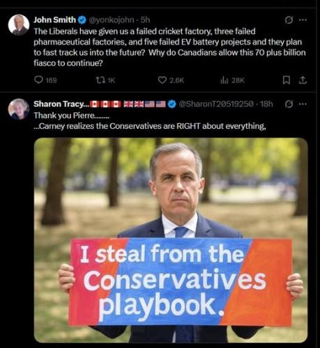 conservative playbook