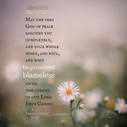 1-the-5-23-KJV-unsplash