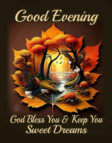 550082442_18024565037743683_6495601791893617596_n