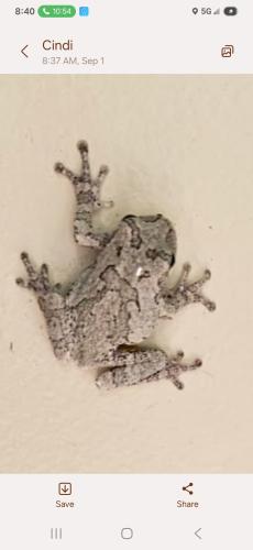 Screenshot_20250901_084055_Messages