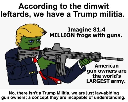 Trump militia.768px