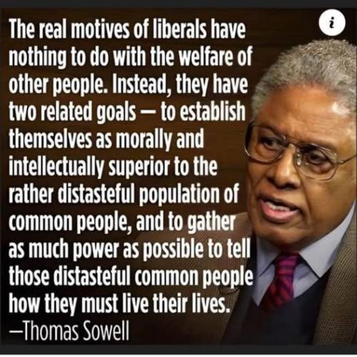 RealMotiveOfLiberals