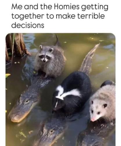 get-together-terrible-decisions